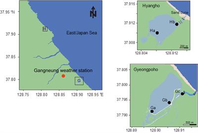 Seasonal variations in biochemical and stable isotope compositions of particulate organic matter in two contrasting temperate coastal lagoons of Korea